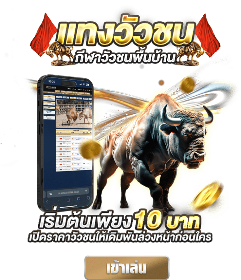 วัวชน