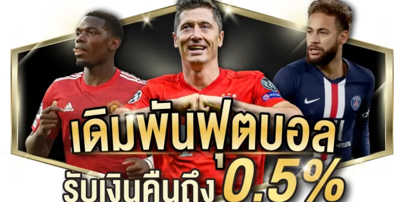 SW-2-1024×559.png แทงบอลเงินสด